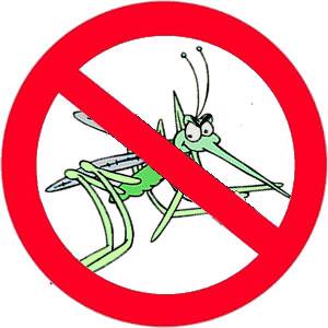 Insektenschutz und Mückenabwehr im Campingurlaub - Kaufberatung